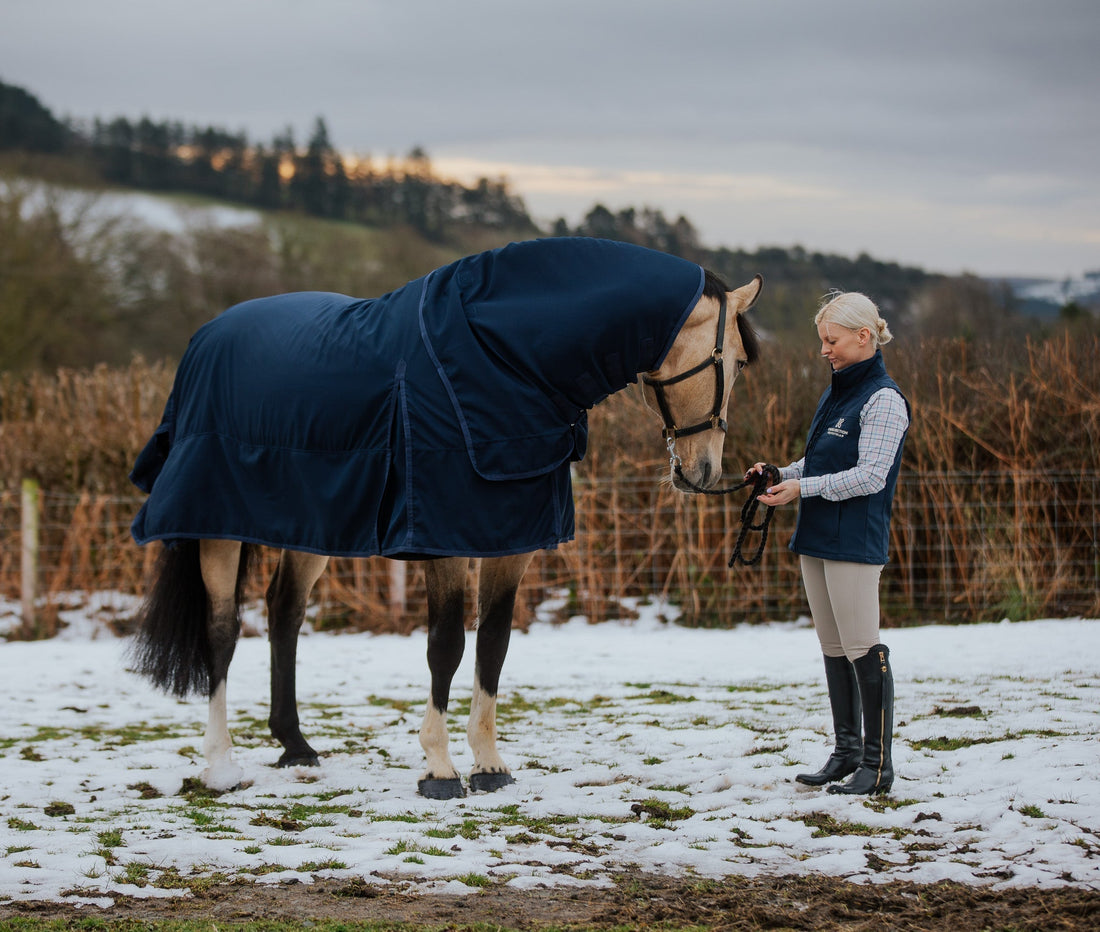 Why Buy Our Rugs? The Innovation Behind the Cirra Rug