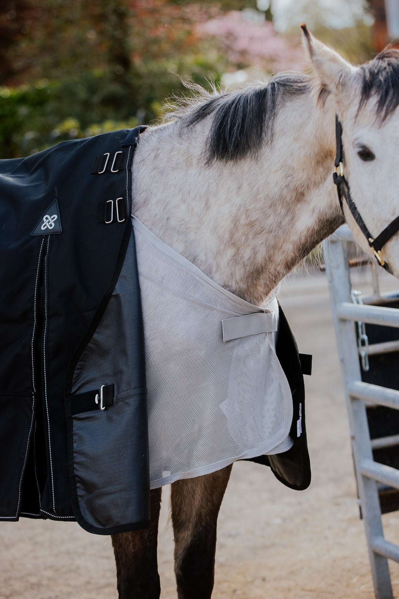 Horse wearing a dark raincoat with a reflective strip on a blurred outdoor background