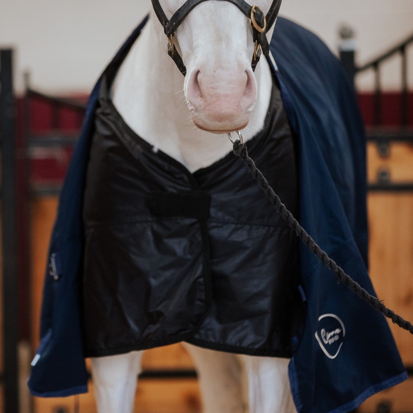Two part equestrian turn out rug