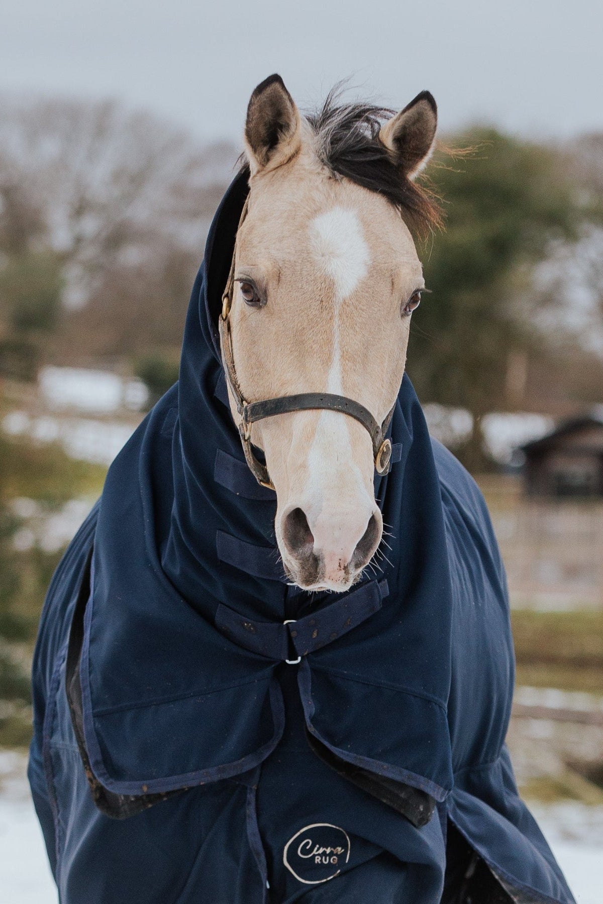 Equestrian turn out rugin cold wintery conditions