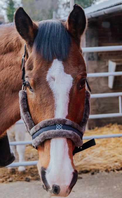 Luxury Plush Fleece Lined and Diamante Head Collar