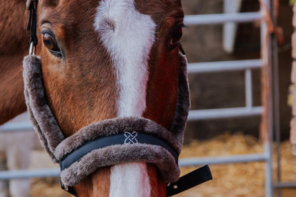 Close-up of a horse wearing a black fleece halter with a brand logo