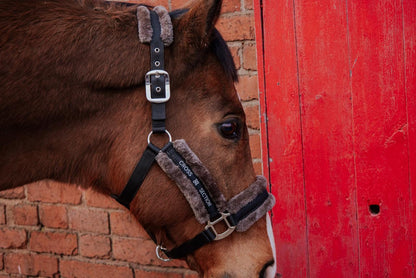 Horse with a fleece lined against a red wooden door and brick wall background