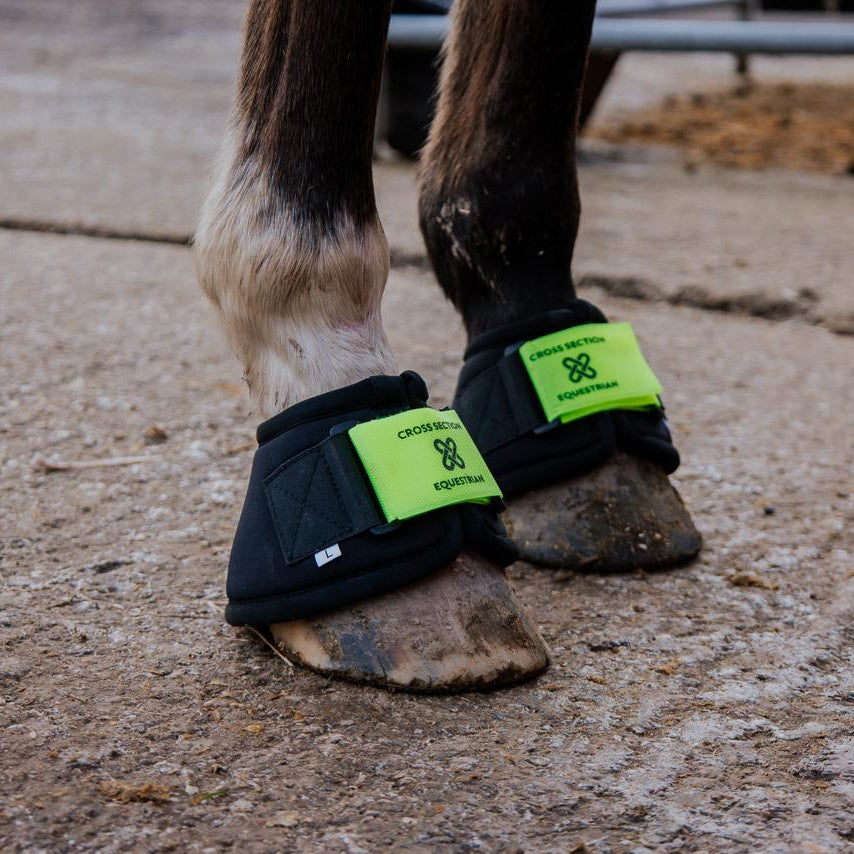 Horse wearing protective over reach boots 
