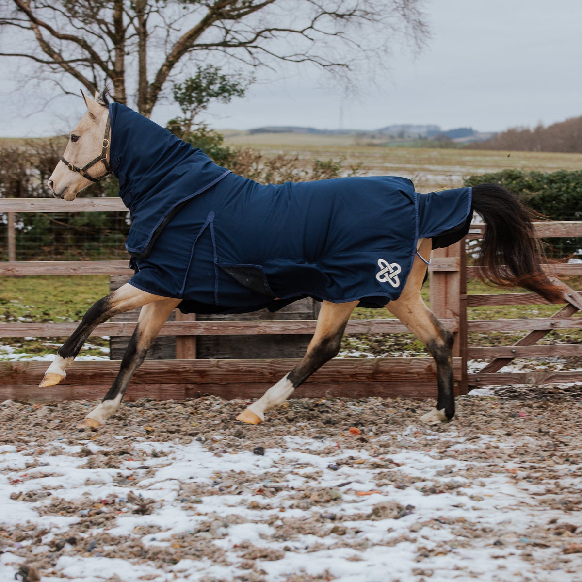 Waterproof breathable durable 200g turn out rug with detachable neck 