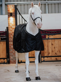 High performance 60g waterproof breathable turn out rug liner for horses