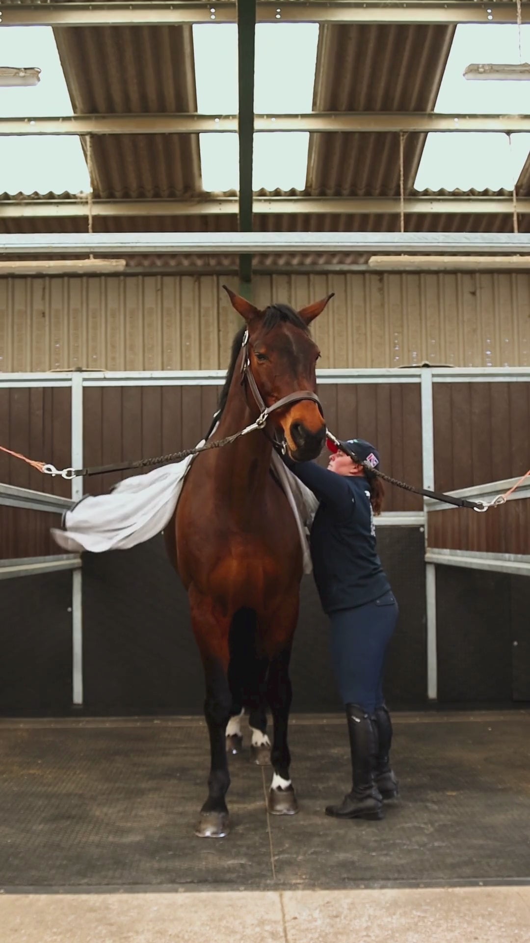 Load video: Cross layer rug system in use